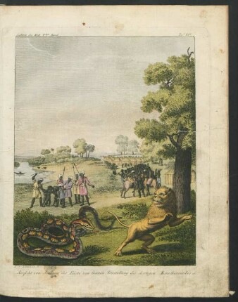 Tafel XIV. Aussicht von Joal auf der Küste von Guinea [...]