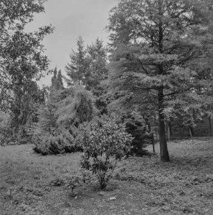 Kumrowitz (Schloss und Park) : Unbekannter Ort. Parkanlage