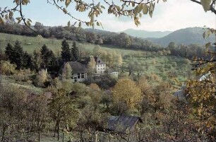 Freiburg i. Br.: Herbstliche Eichhalde