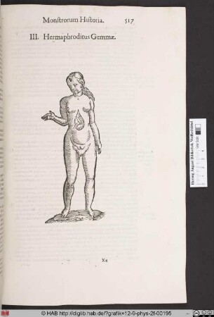Hermaphroditus Gemmae.