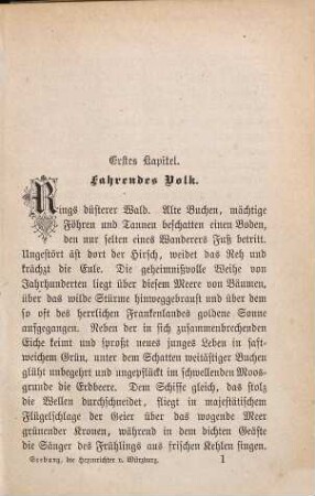 Die Hexenrichter von Würzburg : historische Novelle
