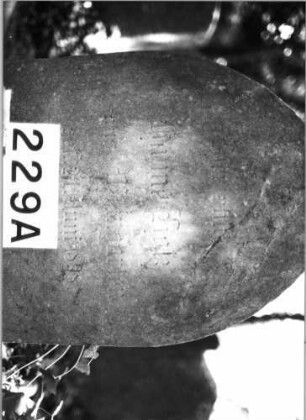 Grabstein 229 (Index: 100085039) Maße HxBxT: 131x50x24 cm Beschreibung: Stele, Sockel, Spitzbogenabschluß, Schriftfeld eingetieft auf Vorderseite: Grabstein 229A
