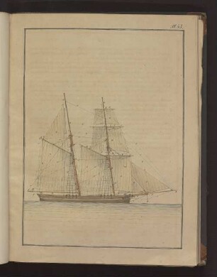 Pl. 43.