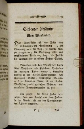 Siebenter Abschnitt. Vom Wundfieber.