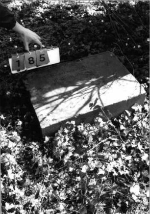 Grabstein 185 (Index: 99791911) Zustand: Fragment Besonderheit: kein Formblatt vorhanden: Grabstein 185