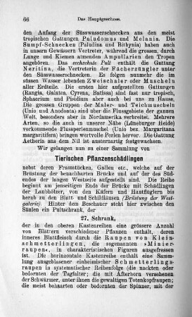 Tierischen Pflanzenschädlingen