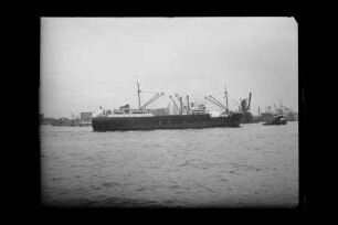 Flora ex Medea - 54 (1936), Visurgis Schiffahrtsges (D.G. Neptun)