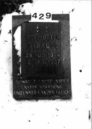 Grabstein 429 (Index: 100092413) Material: Granit, Metallbuchstaben Zustand: gut Maße HxBxT: 65x54x35 cm Beschreibung: Kissenstein mit aufgesetzter Schriftplatte mit aufgesetzten Buchstaben Besonderheit: deutscher Reim: Grabstein 429
