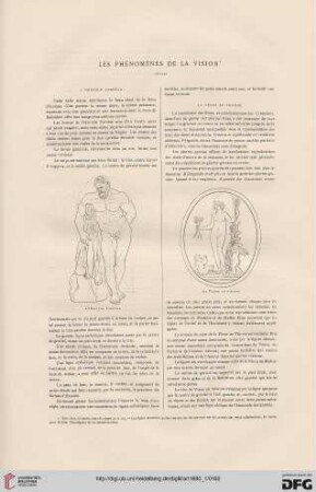 6: Les phénomènes de la vision