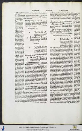De verborum et rerum significatione