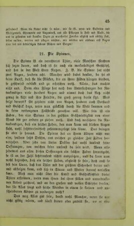 21. Die Spinnen