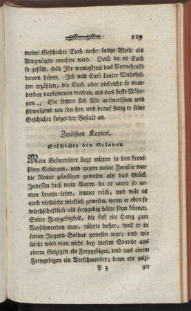Zwölftes Kapitel. Geschichte des Sclaven