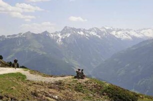 Wandergebiet Penken : Aufgenommen am 26. Mai 2009 im Wandergebiet Penken bei Mayrhofen (Tirol)