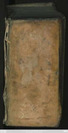 Orbis Phaethon Hoc est De Universis Vitiis Linguae