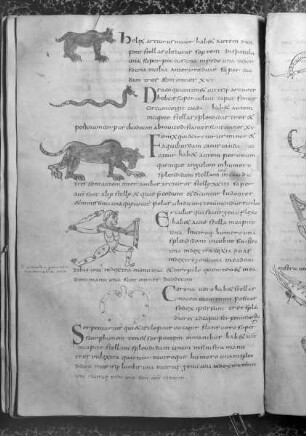 Isidorus Hispalensis, De natura rerum, Etymologiae (lib. 3, interpol.); Computus (1-72r); Isidorus Hispalensis, Sententiae (73v-93). — Sternbilder, Folio fol. 26v