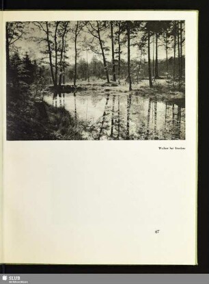 Weiher bei Itzehoe