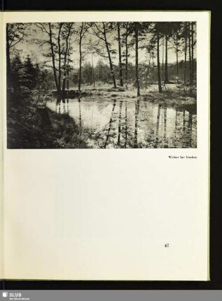 Weiher bei Itzehoe