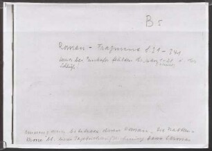 Nachlass Emerenz Meier (1874-1928): Die Natternkrone. Roman-Fragment, Seite 21 bis 341 (Anfang und Schluß fehlen) - Staatliche Bibliothek Passau EM 1/5