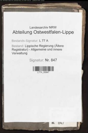 Anstellung der Unterbedienten beim Amt Sternberg (und Barntrup), Bd. 1