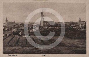 Stadtansicht Fraustadt von S