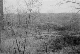 Schwedenschanze bei Kittlitz, Abschnittswall, Slawische Gauburg mit frühdeutscher Nachbesiedlung. : Šwejdske hrodźišćo pola Ketlic.