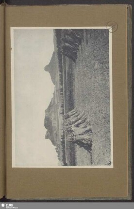 Kaiserkrone und Zirkelstein