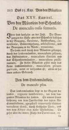 Das XXV. Kapitel. Von den Mäuslein des Schenkels. De musculis ossis femuris