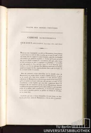 Traité des arbres fruitiers. Cerise de montmorency. Cerasus officinarum, fructu magno, rubro, sapidè dulciore.