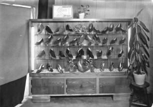 Roßwein. Schulfest 1955. Ausstellungsstand der Schuhfabrik Stade in Roßwein