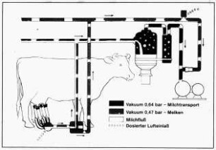 Schemazeichnung: Melktechnik, Rohrmelkanlage