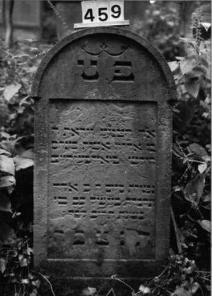 Grabstein 459 (Index: 99803749) Material: Sandstein Zustand: leicht verwittert Maße HxBxT: 119x57x10 cm Beschreibung: Stele mit verdachtem Rundbogen, profilierter Rand, Giebelfeld: Grabstein 459