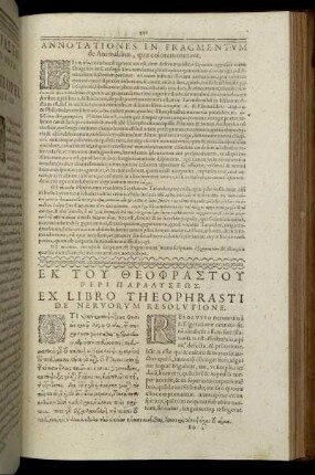 Ex Libro Theophrasti De Nervorum Resolutione.