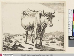 [Une vache pleine debout, vue de trois quarts, et dirigée vers la droit; Stehende Kuh in karger Landschaft nach rechts gewendet]