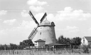Doberschütz-Paschwitz. Mühle Friedemann, Turmholländer, Mühlweg 4