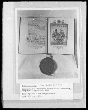 Wappenbrief des Christian Friedrich von Lummitzsch