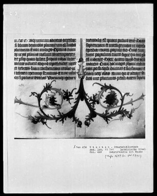 Lateinische Bibel — Zierleiste im Intercolumnium, Folio 44verso