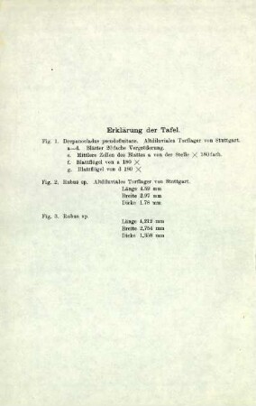 Erklärung der Tafel / Fig. 1-3