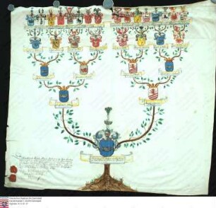 Ahnenprobe des Ernst August v. Bothmer. - ausgefertigt 1749 August 5, Pergament