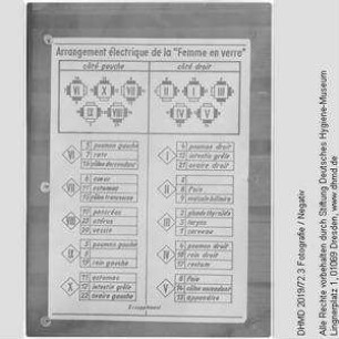 Technische Unterlage - "Arrangement électrique de la Femme en verre"