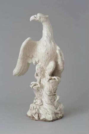 Adler, nach rechts blickend