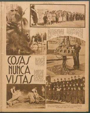 Cosas nunca vistas [Fotografías]