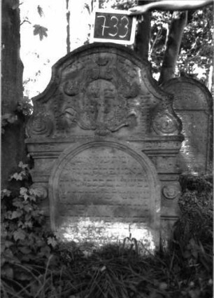 Grabstein 733 (Index: 100104783) Material: Sandstein Zustand: unten stark verwittert Maße HxBxT: 136x94x14 cm Beschreibung: Stele mit Rundbogenabschluss, unten in Voluten auslaufend, im Bogenfeld von Akanthus und Voluten eingerahmtes Medaillon, erhabenes Schriftfeld, seiliche Rahmen säulenähnlich mit mehreren kapitellartigen Abschlüssen gearbeitet, darauf Akathus- undVolutenornamente Symbolik: Medaillon, Akanthus, Voluten Besonderheit: kulturhistorisch wertvoll / hist.-wiss. Gründe (Vorsteher, Kazin): Grabstein 733