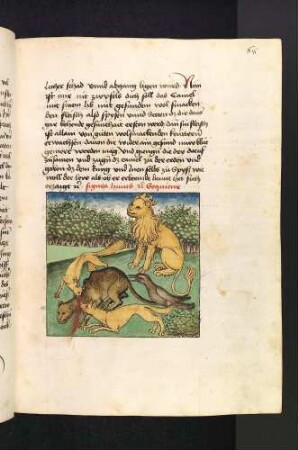 Wolf, Rabe und Fuchs erlegen das Kamel als Speise für sich selbst und den Löwen; (Kapitel II: Von dem Löwen und dem Ochsen).