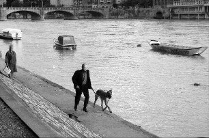 Basel: Mann mit Hund, Dogge, am Rhein