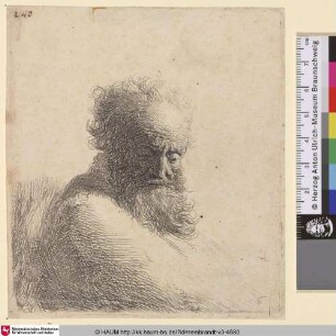 [Brustbild eines alten, nach unten blickenden Mannes im Dreiviertelprofil; Bust of an Old Bearded Man, Looking Down, Three Quarters Right; Vieillard à grande barbe]