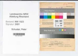Entnazifizierung Peter Schuster , geb. 19.09.1896 (Stadtinspetor)