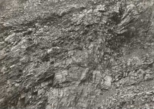 Steinbruch am Igelsberg südöstlich Ronneburg. Sattel im gefalteten Kieselschiefer (Silur)