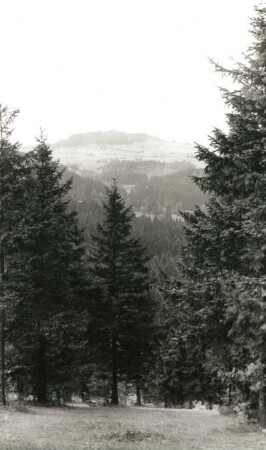 Osterzgebirge. Mordgrund oberhalb Bahratal. Blick zum Sattelberg (Špičák)