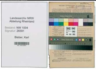Entnazifizierung Karl Bieber , geb. 13.04.1900 (Weber)