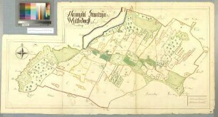 [Grenzin (Grantzin) Amt/Distrikt Treptow, Neumühl , Wolfsdorf (Wolfsdorf, Wulffsdorf) Amt/Distrikt Franzburg] Neümöhl Grantzyn Och Wulfsdorff in Ampt Fransborg